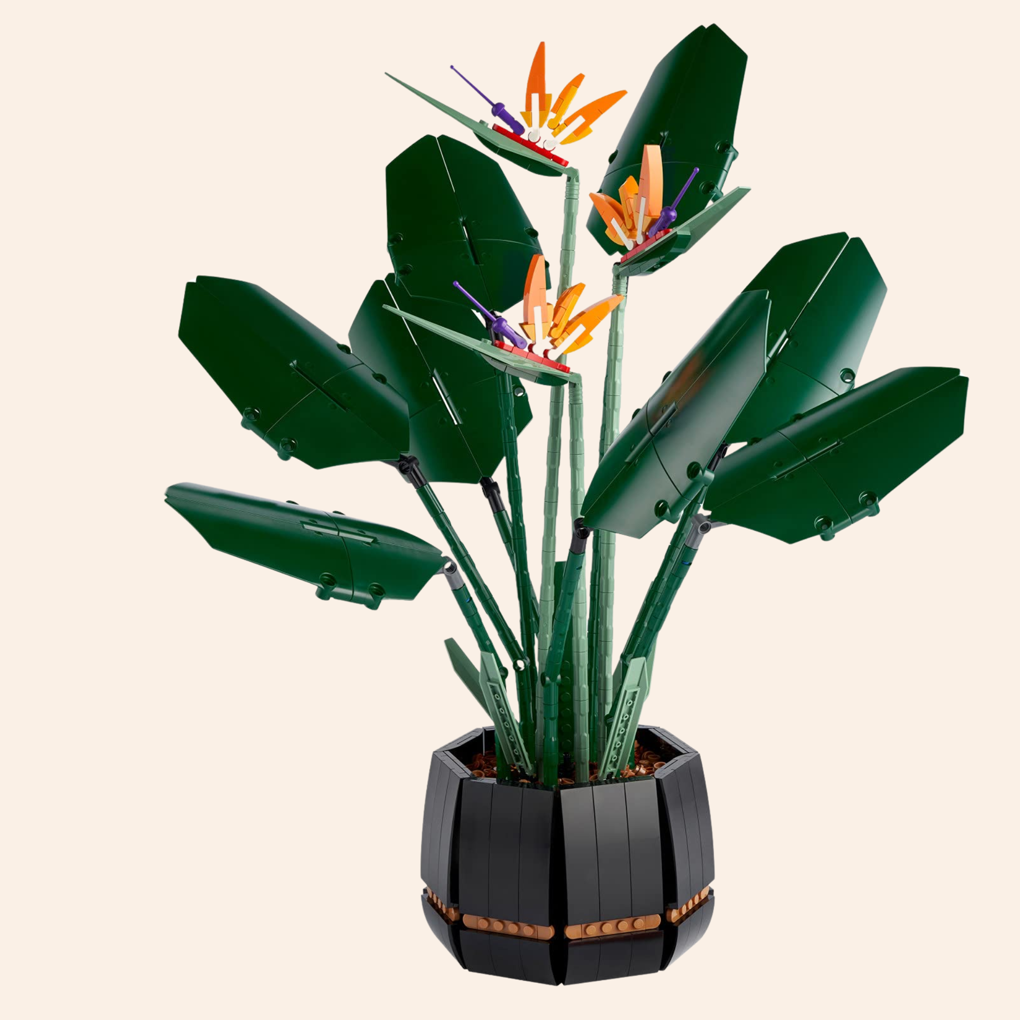 Birds of Paradise 10289