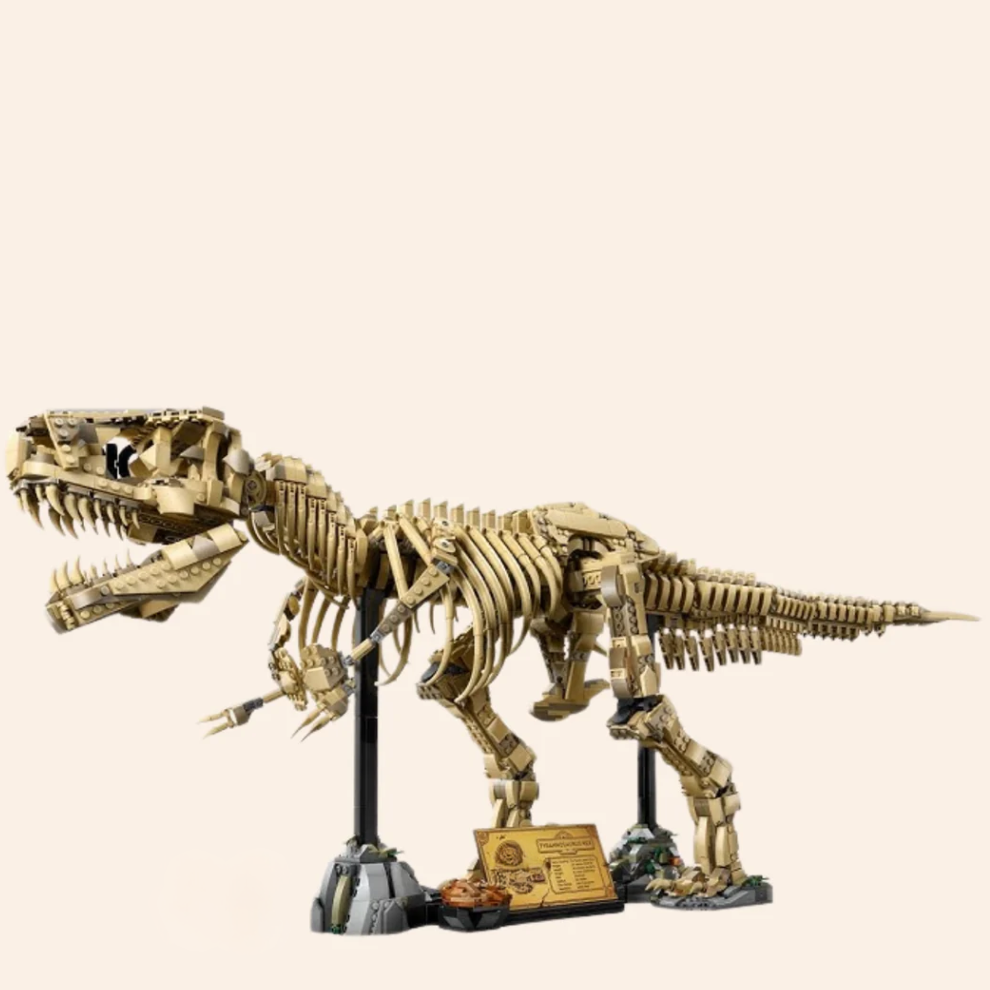 Large T-Rex Fossil 76968