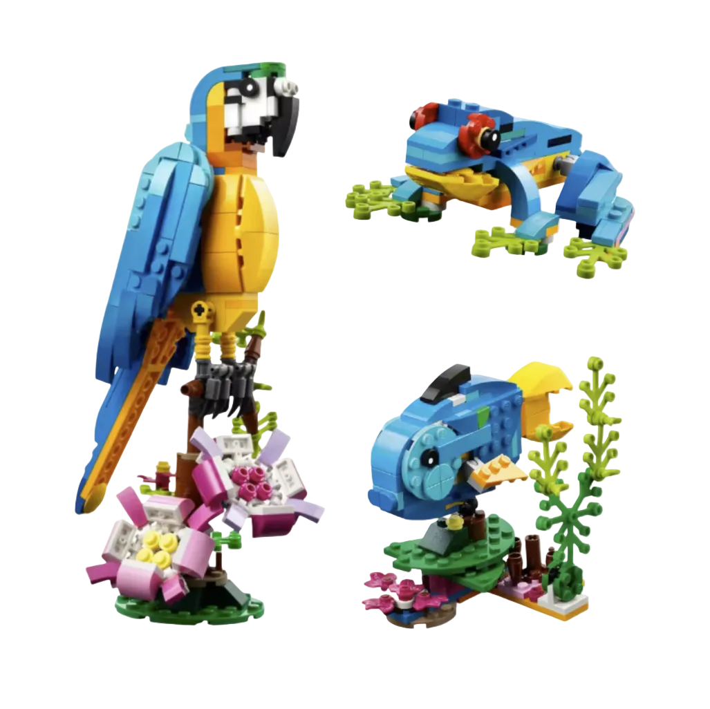 3-in-1 Parrot Set 6043