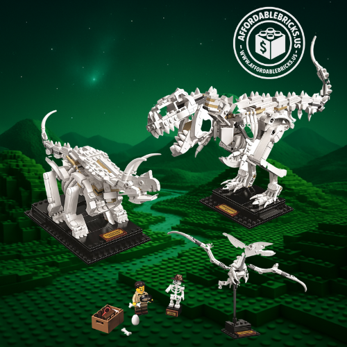 Ideas Dinosaur Fossils 21320 History Museum