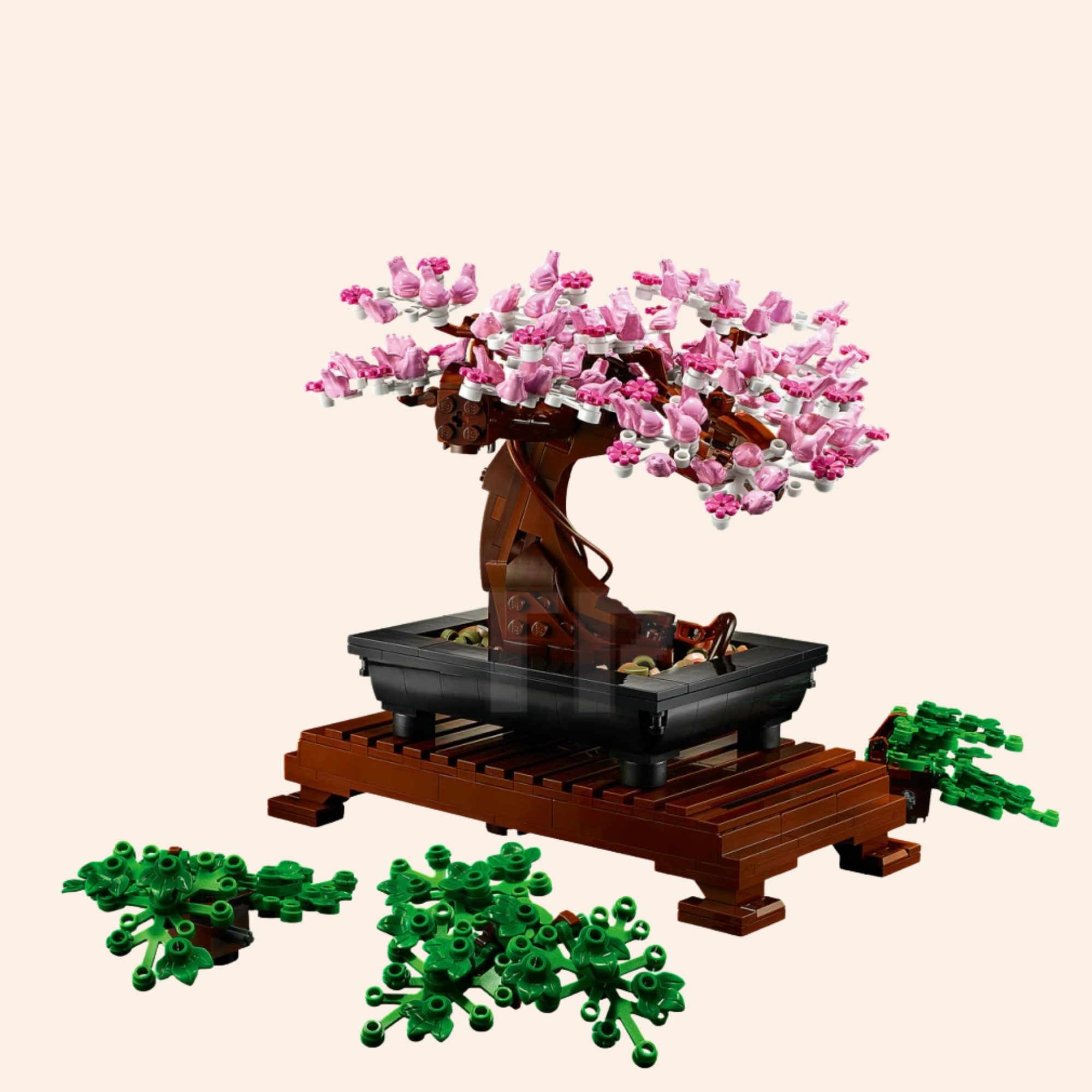 Bonsai Tree Japanese 10281