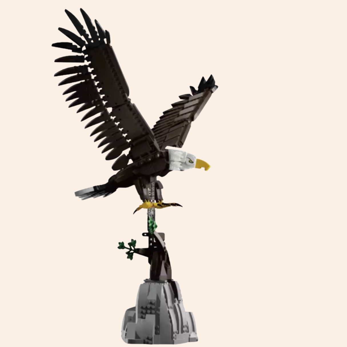 Bald Eagle On Rock 6044