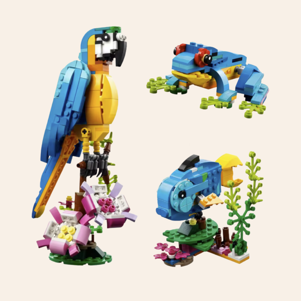 3-in-1 Parrot Set 6043