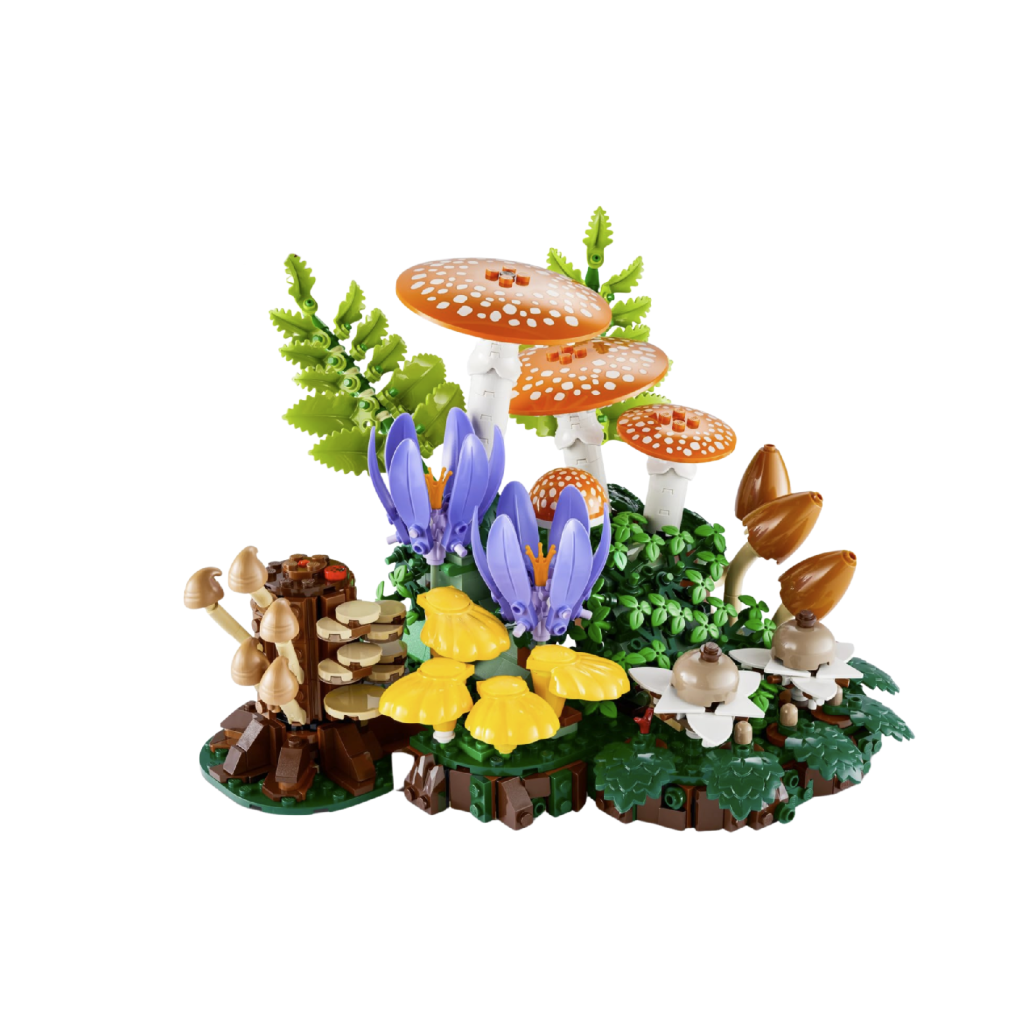 Woodland Mushrooms 11505