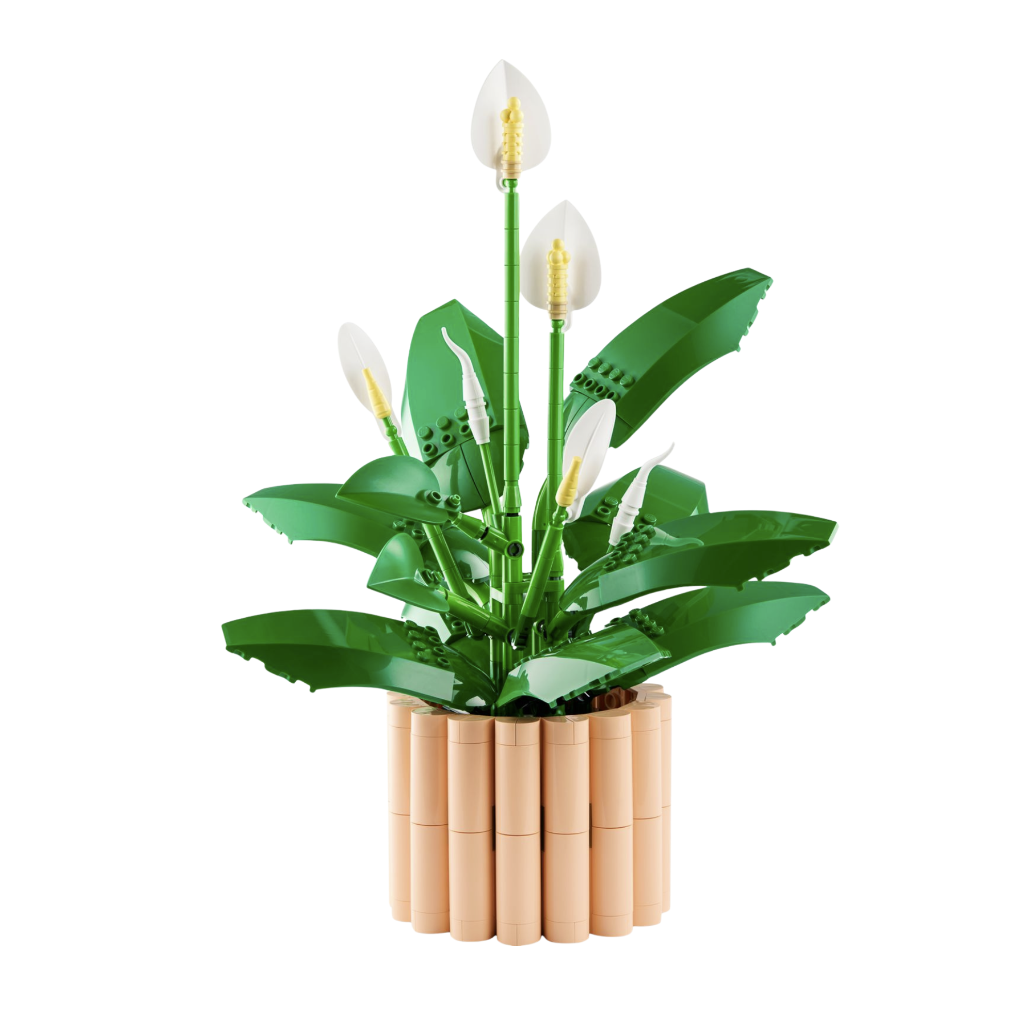 Peace Lily Flower 11504