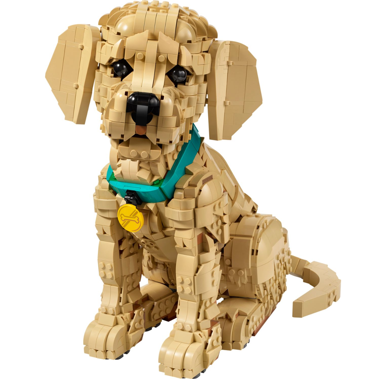 Golden Retriever 11384